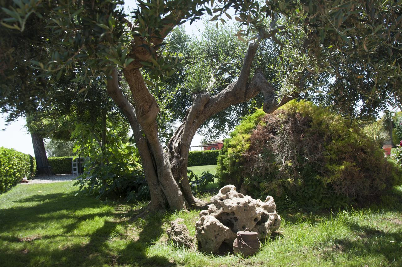 Hotel Rural Cal Ruget Vilobi Del Penedes Exteriér fotografie